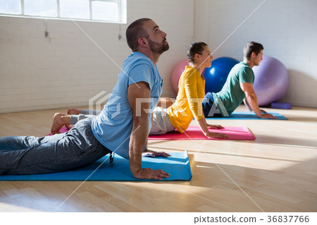 Instructor with students practicing cobra pose in yoga studio Instructor with students practicing cobra pose in yoga studio 36837766