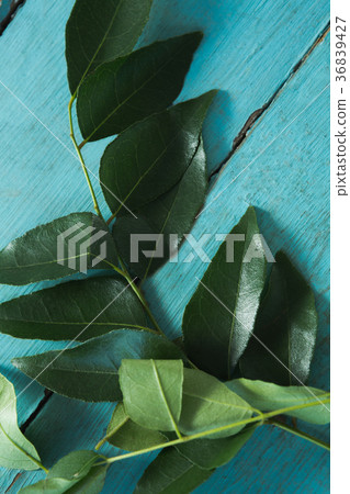 Curry leaves on wooden table Curry leaves on wooden table 36839427