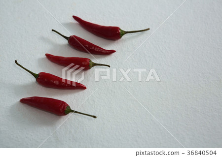Red chili arranged in a row Red chili arranged in a row 36840504