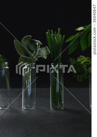 Various herbs in bottle Various herbs in bottle 36840647
