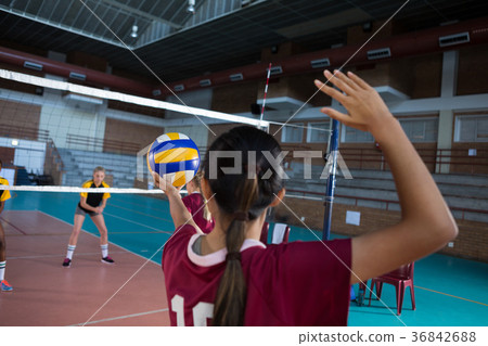 Female players playing volleyball in the court 36842688