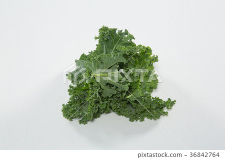 High angle view of fresh green kale 36842764