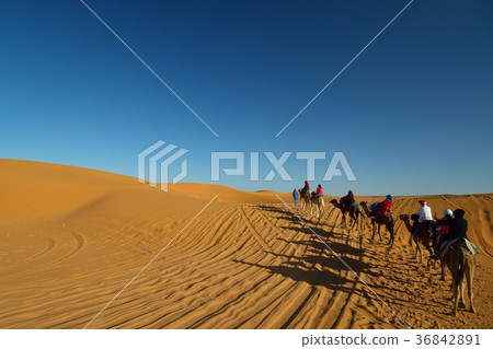 遊覽野營的風景在Merzouga沙漠，摩洛哥 36842891