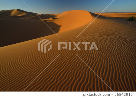 Wind print on the Merzouga Sahara desert in Morocco 36842915