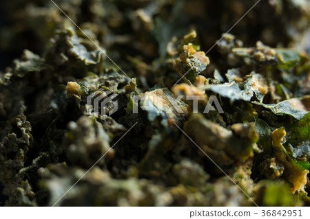 Full frame shot of kale Full frame shot of kale 36842951