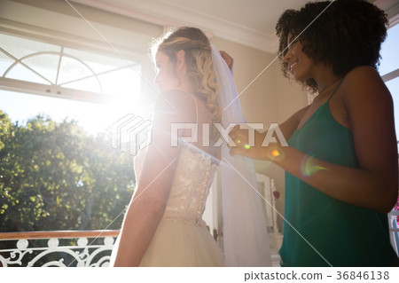 Beautician adjusting veil on bride hair at home Beautician adjusting veil on bride hair at home 36846138