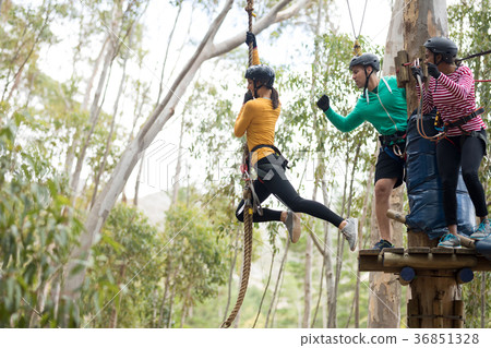 Woman enjoying zip line adventure in park Woman enjoying zip line adventure in park 36851328