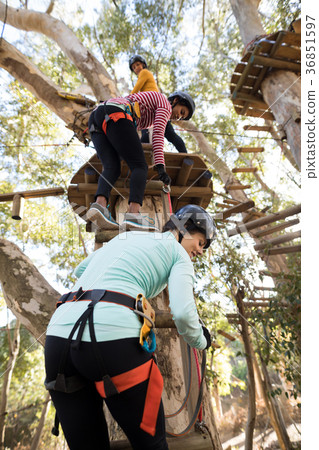 Friends climbing on tree with stairs Friends climbing on tree with stairs 36851597
