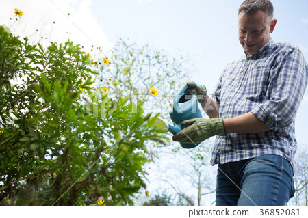 Man watering plants with a watering can 36852081