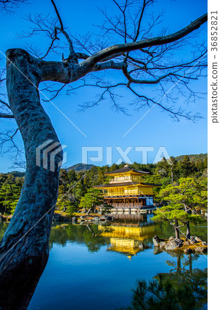 The beauty of Japanese architectural scenery The beauty of Japanese architecture 36852821