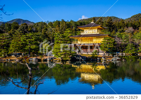 The beauty of Japanese architectural scenery The beauty of Japanese architecture 36852829