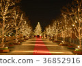 聖誕節照明 36852916