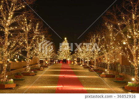 聖誕節照明 聖誕節照明 36852916