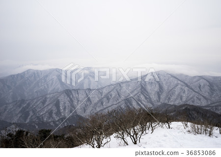 Deogyusan，Muju-gun，Jeonbuk 36853086