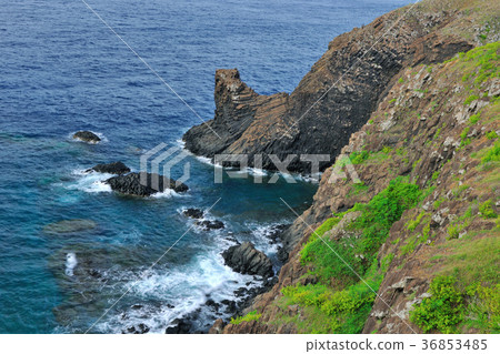 Penghu,coast,seaside,beach,sea,water,outdoors,daytime,grass,rock 36853485