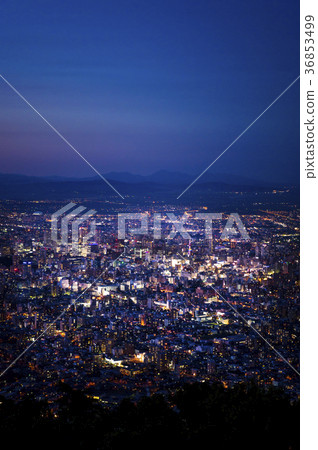 從札幌山看到的夜景 36853499