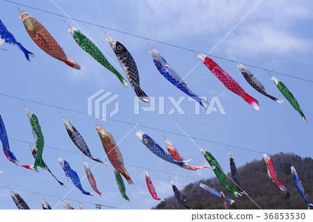 Flower streamer of Hanasaki Flower streamer of Hanasaki 36853530