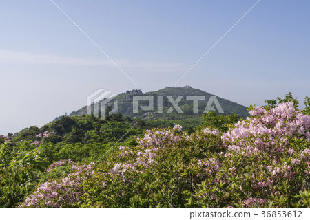 Deogyusan，Muju-gun，Jeonbuk 36853612