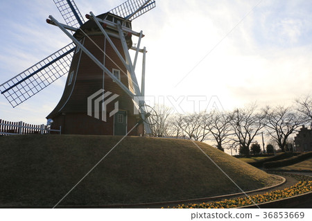 大型小栗村牧場 36853669