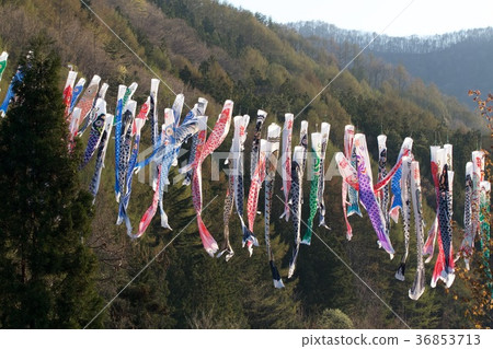 Flower streamer of Hanasaki 36853713