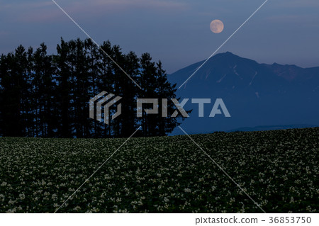 Tokachidake and full moon in summer Tokachidake and full moon in summer 36853750