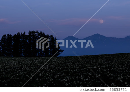 Tokachidake and full moon in summer Tokachidake and full moon in summer 36853751