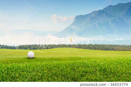 golf ball on green golf ball on green 36853774