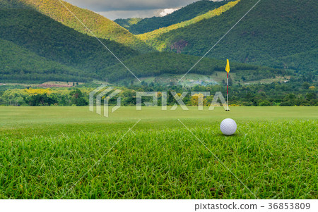 Golf ball on green. Golf ball on green. 36853809