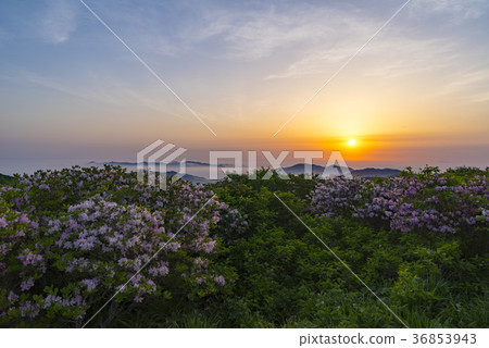 Deogyusan, Muju-gun, Jeonbuk 36853943