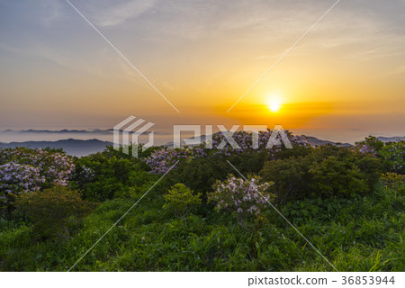 Deogyusan, Muju-gun, Jeonbuk 36853944