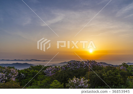 Deogyusan, Muju-gun, Jeonbuk 36853945