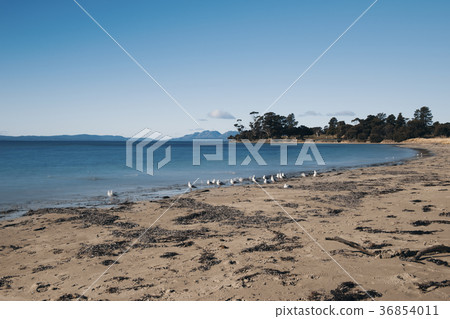 Jubilee beach in the town of Swansea, Tasmania. Jubilee beach in the town of Swansea, Tasmania. 36854011