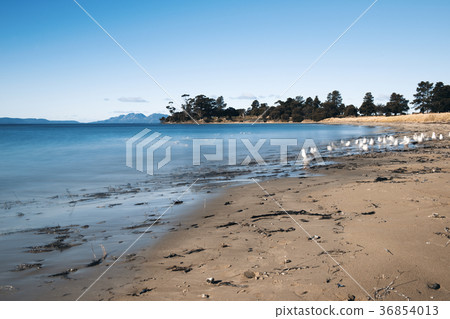 Jubilee beach in the town of Swansea, Tasmania. 36854013