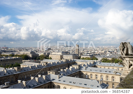 Notre Dame Cathedral Gargoyle and Paris cityscape 36854287