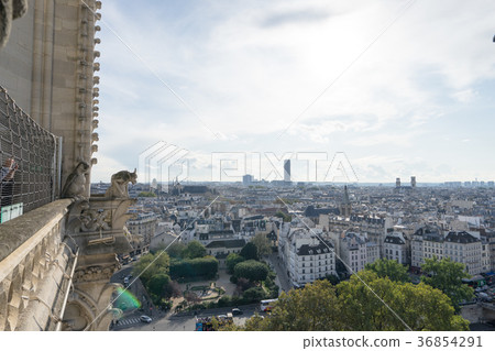 巴黎圣母院大教堂石像鬼和巴黎都市風景 36854291
