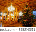 Christmas tree  36854351