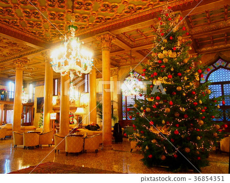 Christmas tree Christmas tree 36854351