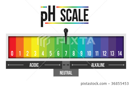 Creative vector illustration of pH scale value Creative vector illustration of pH scale value 36855453