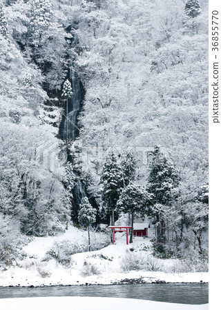 Shiraito Falls Winter Scene Yamagata Prefecture Shiraito Falls Winter Scene Yamagata Prefecture 36855770