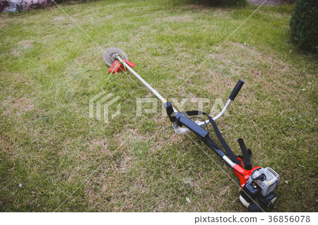 gardening, garden, lawn mowing 36856078