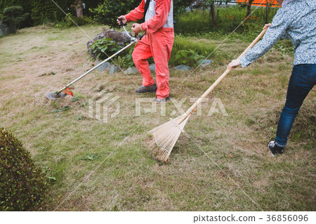園藝 花園 院子 36856096