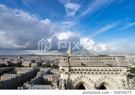 Landscape of the city of Paris seen from Notre Dame Cathedral Landscape of the city of Paris seen from Notre Dame Cathedral 36856875