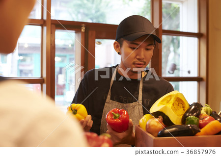 咖啡館準備工作人員蔬菜長襪 36857976
