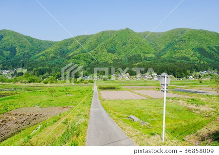 Spring rural landscape (May) 36858009