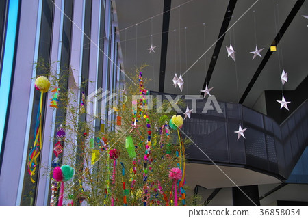 Hino Citizen's Museum Tanabata Event 36858054