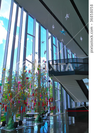 Hino Citizen's Museum Tanabata Event 36858058