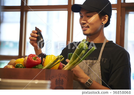 咖啡館準備工作人員蔬菜長襪 36858068