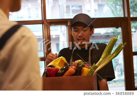 咖啡館準備工作人員蔬菜長襪 36858089