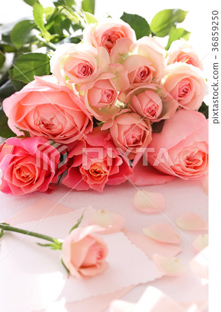 粉紅玫瑰花束卡 照片素材 圖片 圖庫
