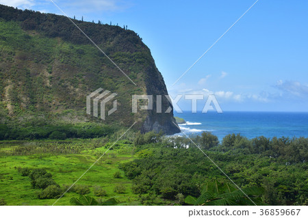 Waipio Valley, Island of Hawaii 36859667